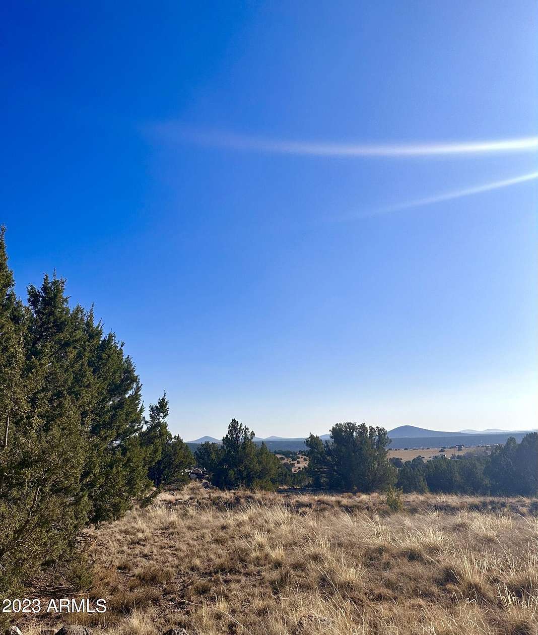 4.2 Acres of Residential Land for Sale in Concho, Arizona