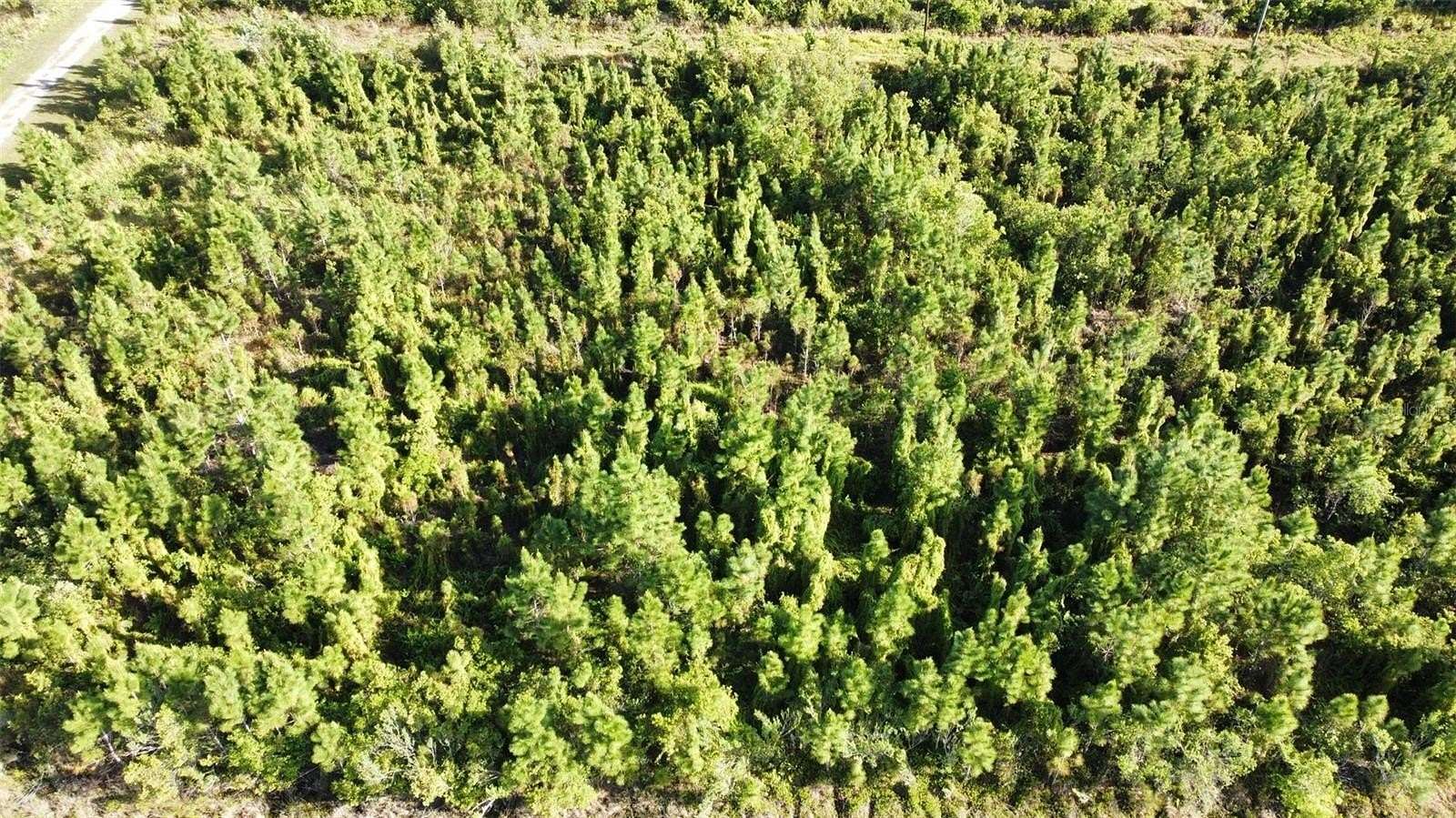 0.5 Acres of Residential Land for Sale in Indian Lake Estates, Florida