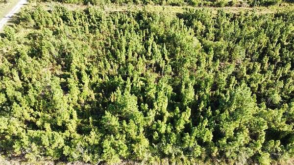 0.5 Acres of Residential Land for Sale in Indian Lake Estates, Florida