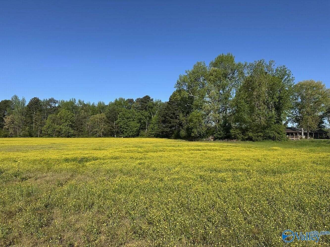 77 Acres of Land for Sale in Athens, Alabama