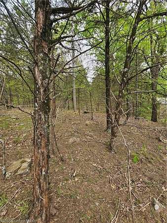 4 Acres of Land for Sale in Booneville, Arkansas