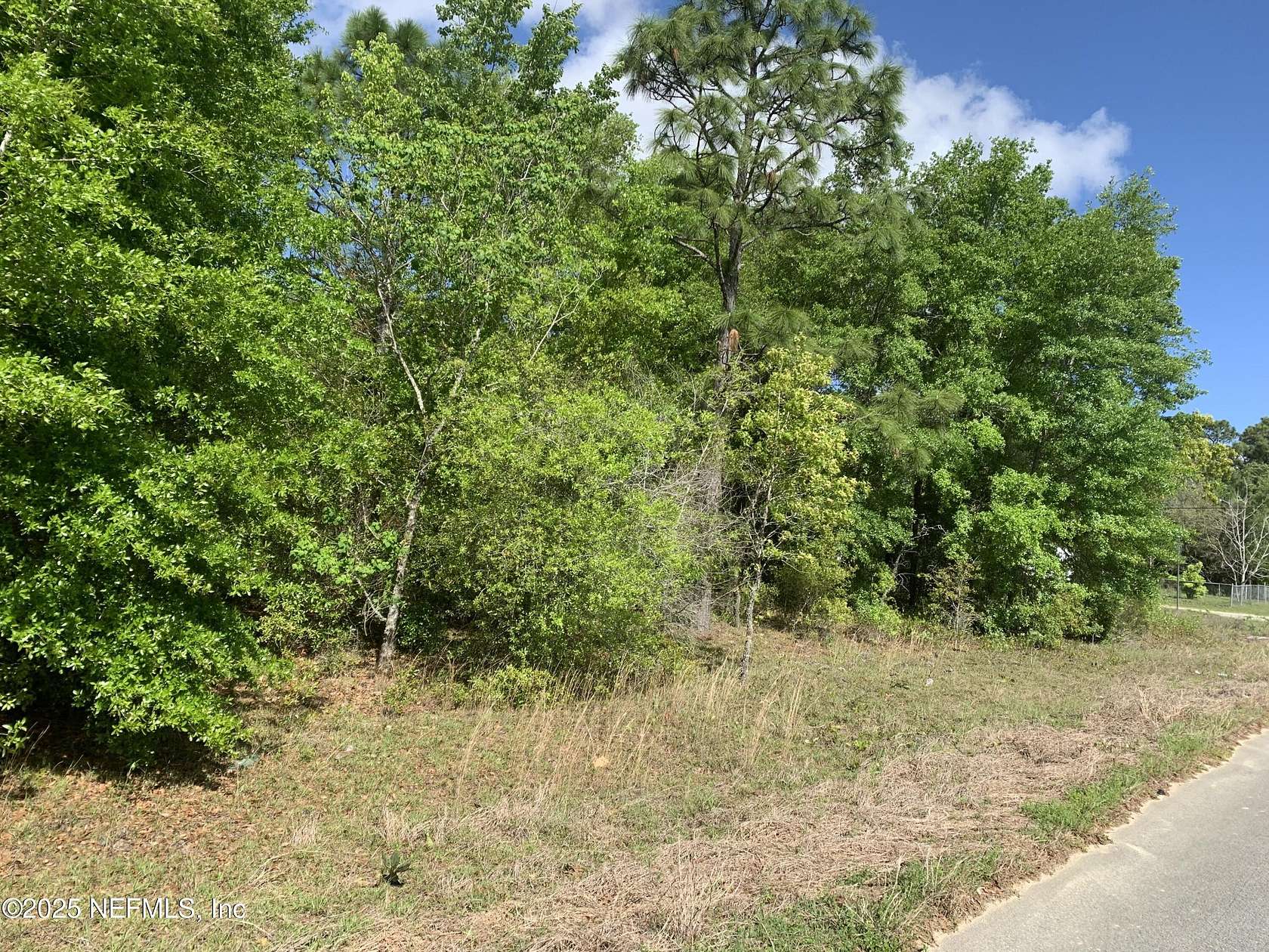 0.35 Acres of Land for Sale in Interlachen, Florida