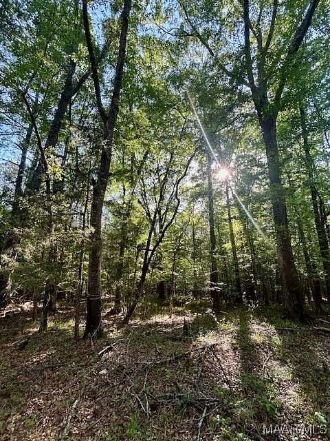 17 Acres of Land for Sale in Greenville, Alabama