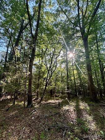 17 Acres of Land for Sale in Greenville, Alabama