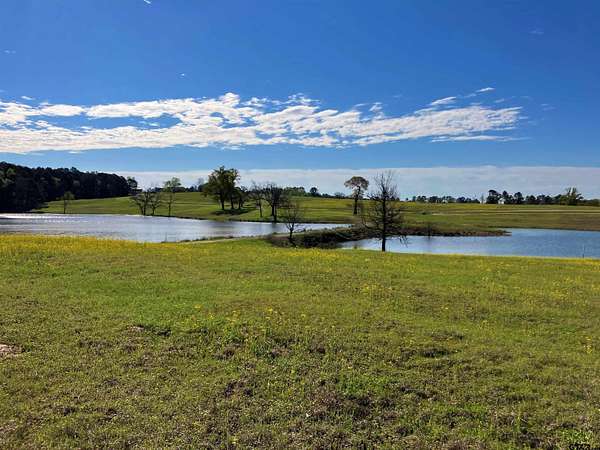 2 Acres of Residential Land for Sale in Big Sandy, Texas