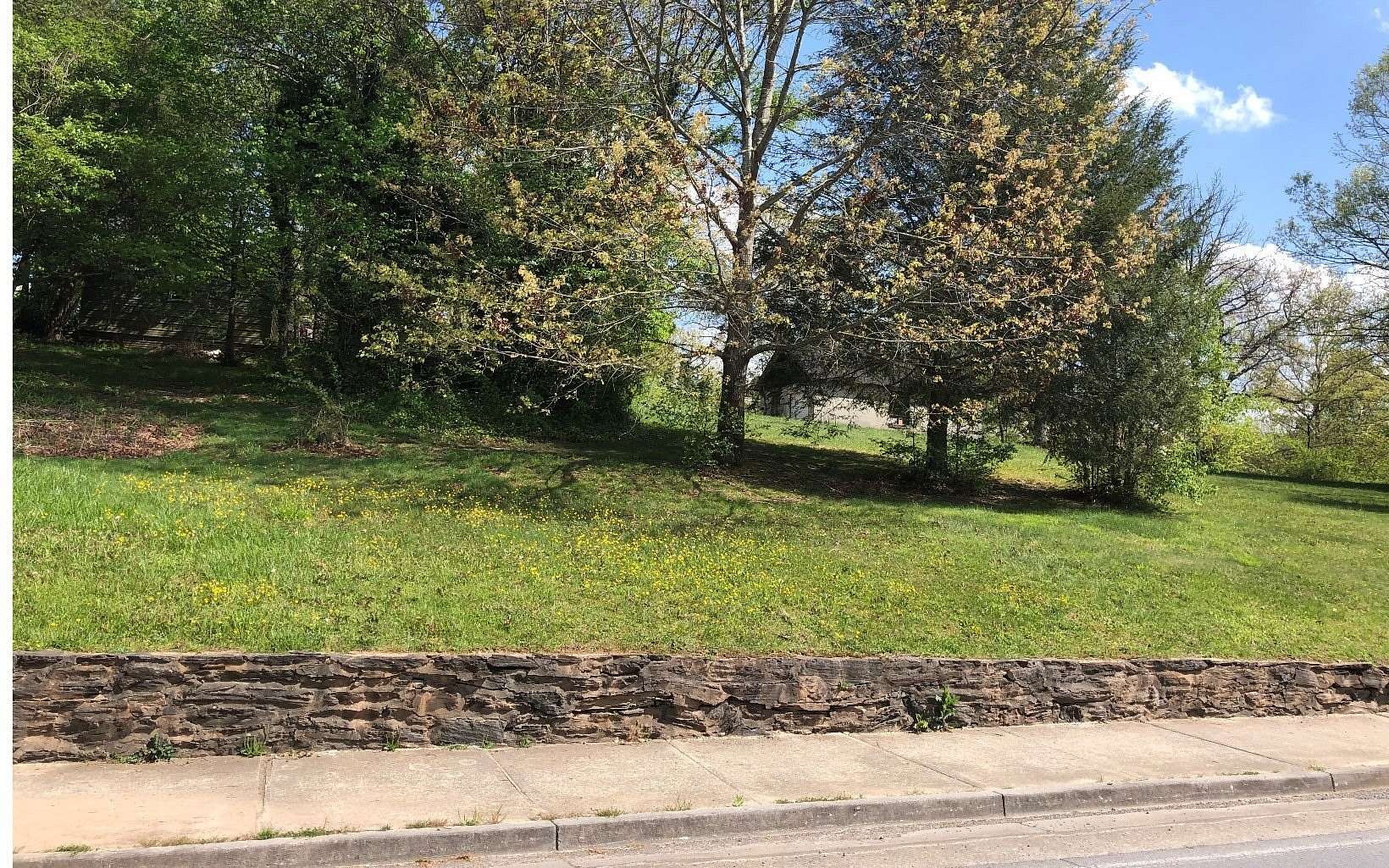 0.96 Acres of Mixed-Use Land for Sale in Blue Ridge, Georgia