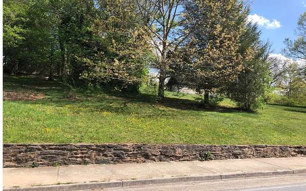 0.96 Acres of Mixed-Use Land for Sale in Blue Ridge, Georgia