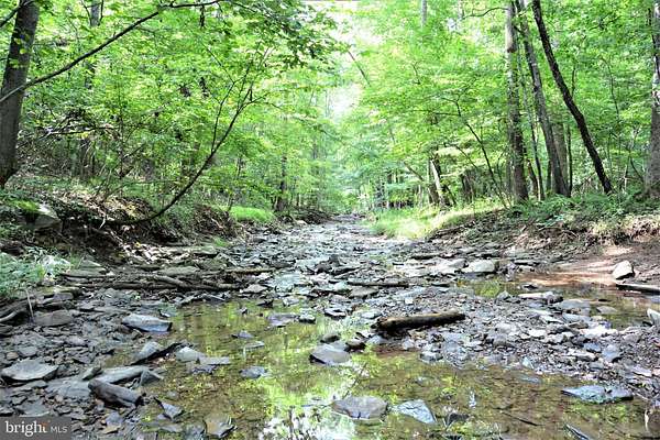 15.9 Acres of Recreational Land for Sale in Winchester, Virginia