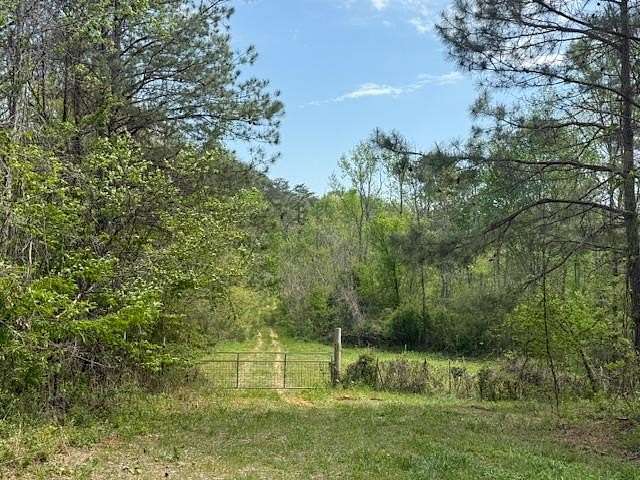 49.3 Acres of Recreational Land for Sale in Crandall, Georgia