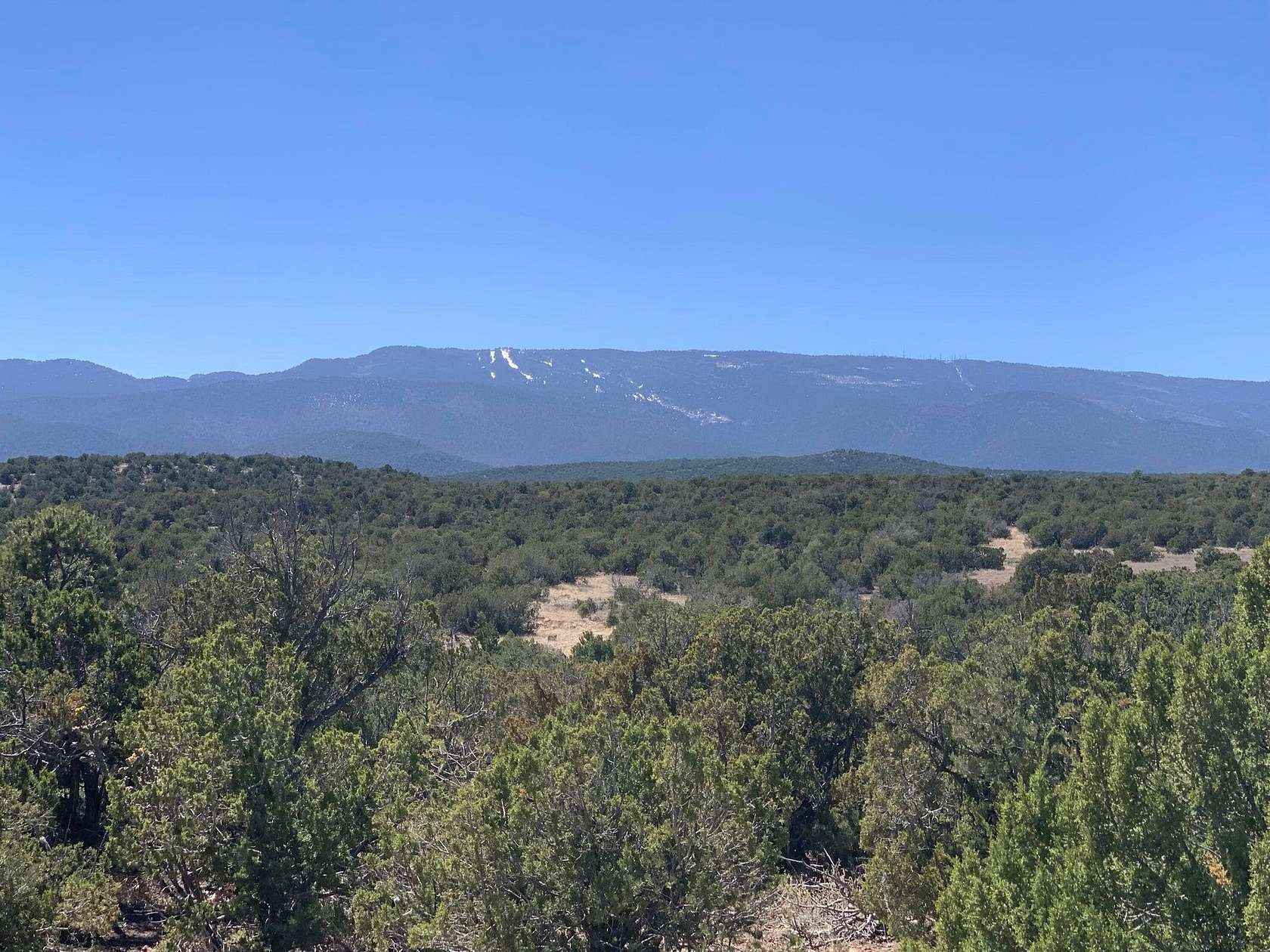 10 Acres of Land for Sale in Sandia Park, New Mexico