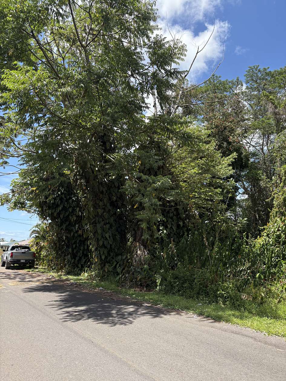 0.28 Acres of Residential Land for Sale in Pahoa, Hawaii