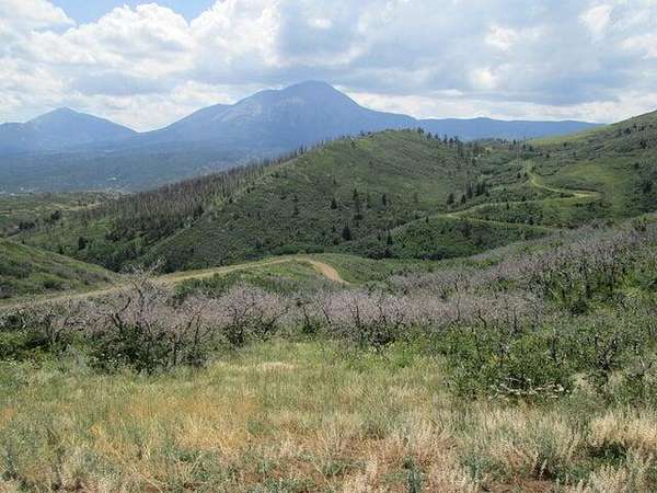 37 Acres of Land for Sale in La Veta, Colorado