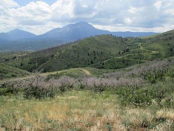 37.3 Acres of Recreational & Residential Land for Sale in La Veta, Colorado