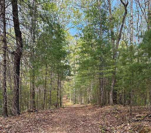 3.39 Acres of Residential Land for Sale in Ellijay, Georgia
