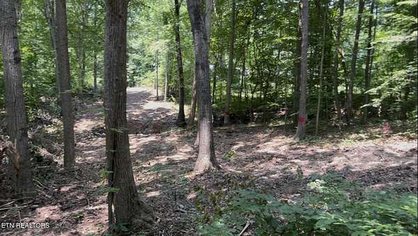 3.7 Acres of Residential Land for Sale in Dandridge, Tennessee