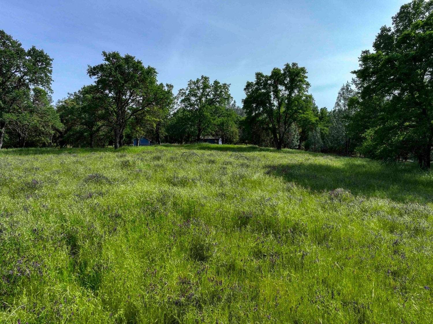 8 Acres of Land for Sale in El Dorado Hills, California