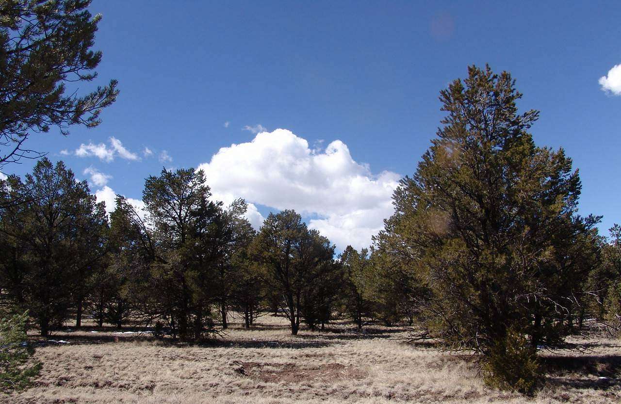 10.1 Acres of Land for Sale in Datil, New Mexico
