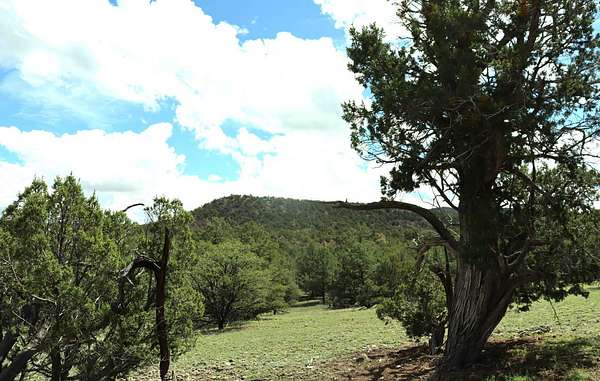 10.1 Acres of Land for Sale in Datil, New Mexico