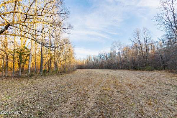 210 Acres of Recreational Land for Sale in Medon, Tennessee