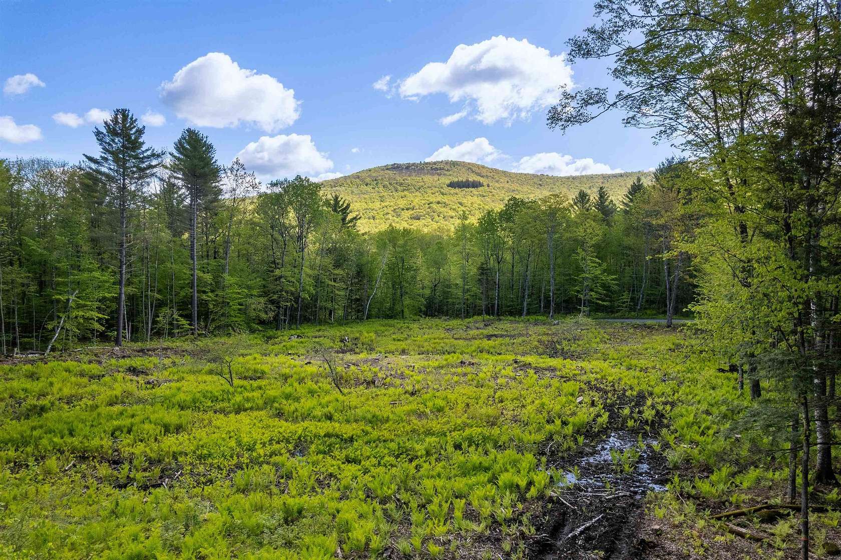 77.7 Acres of Recreational Land for Sale in Woodstock, Vermont