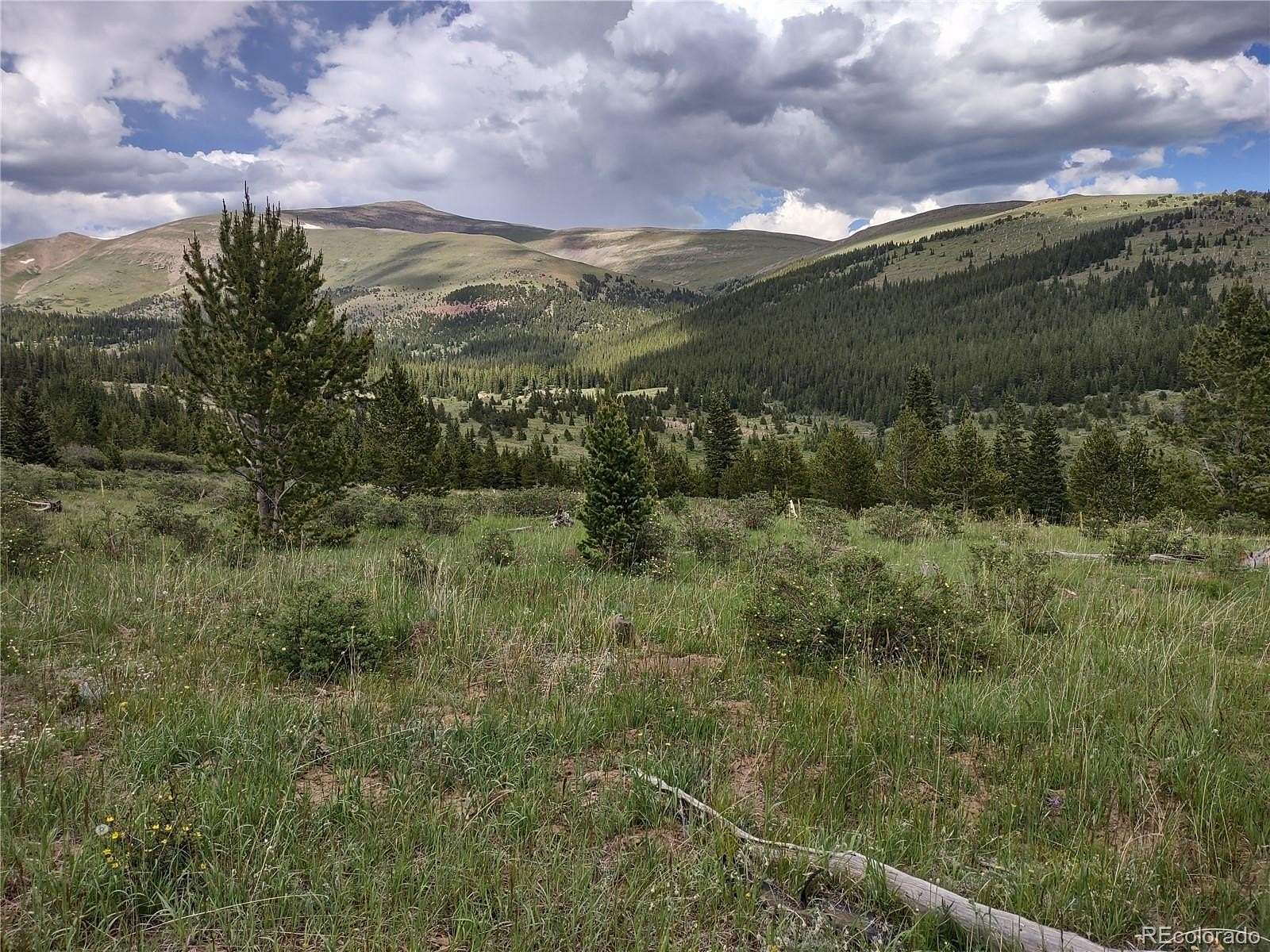 46.3 Acres of Recreational Land for Sale in Alma, Colorado