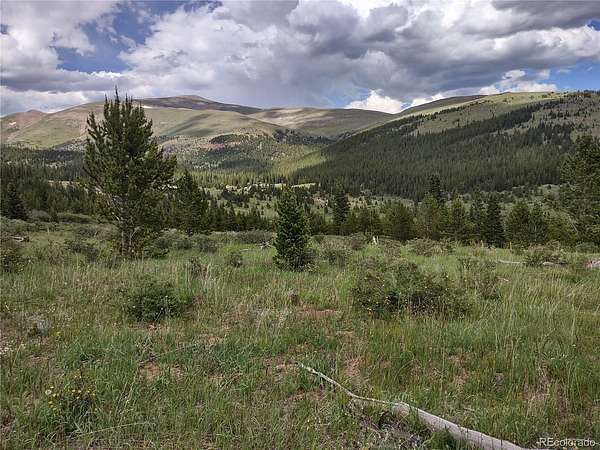46.3 Acres of Recreational Land for Sale in Alma, Colorado
