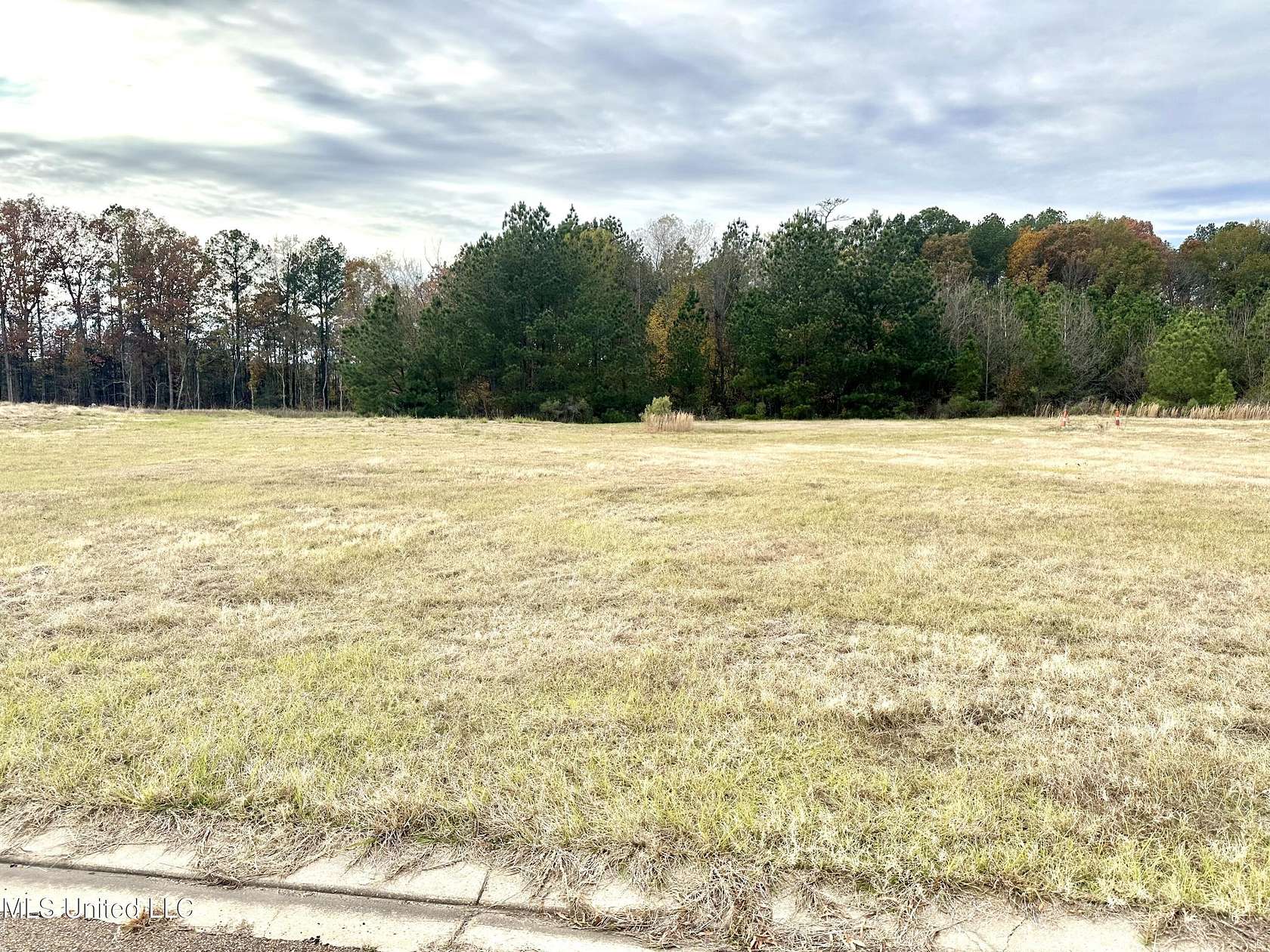 1 Acre of Commercial Land for Sale in Pearl, Mississippi