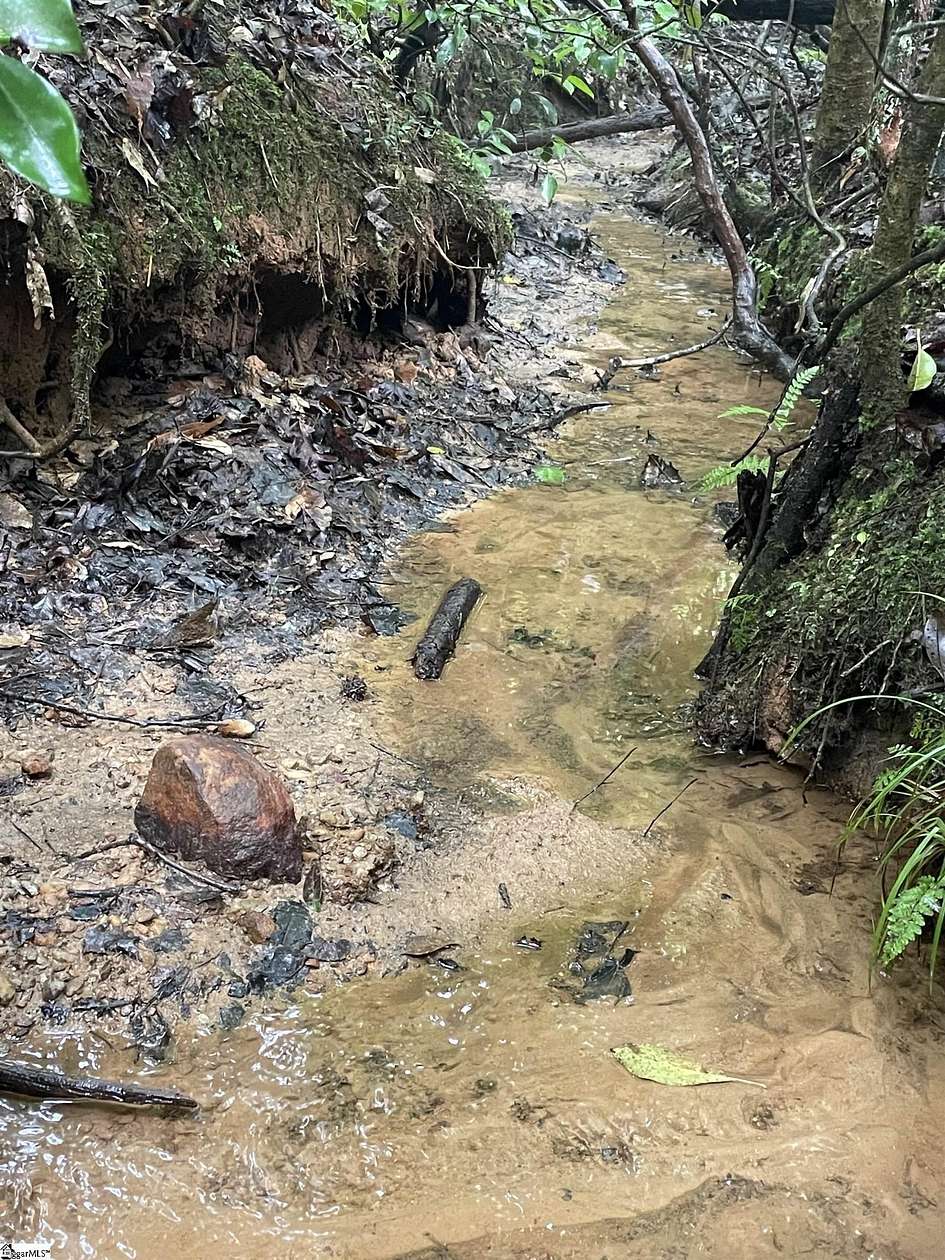 33.8 Acres of Recreational Land for Sale in Tamassee, South Carolina