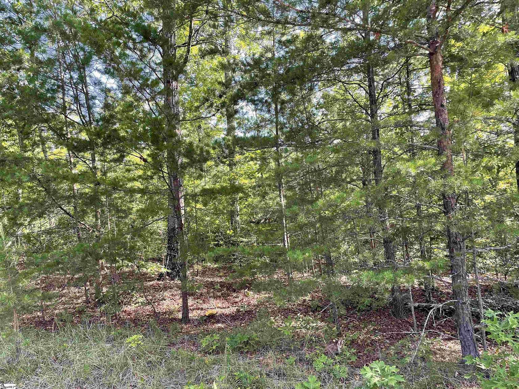 10.6 Acres of Recreational & Residential Land for Sale in Tamassee, South Carolina