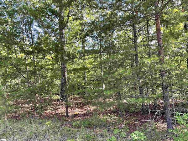 10.6 Acres of Recreational & Residential Land for Sale in Tamassee, South Carolina
