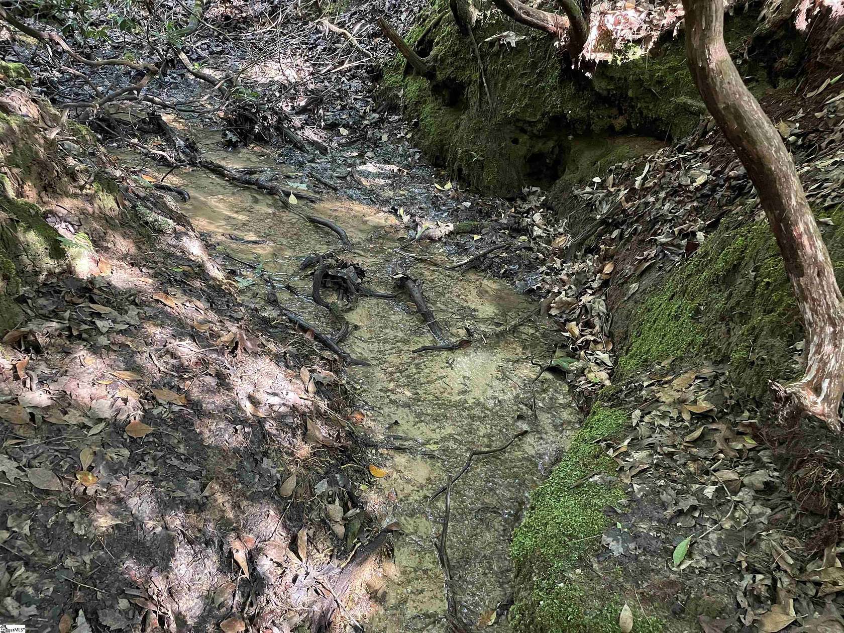 14 Acres of Recreational Land for Sale in Tamassee, South Carolina