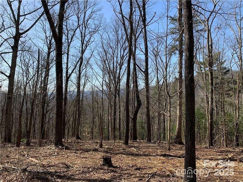 1.62 Acres of Land for Sale in Asheville, North Carolina