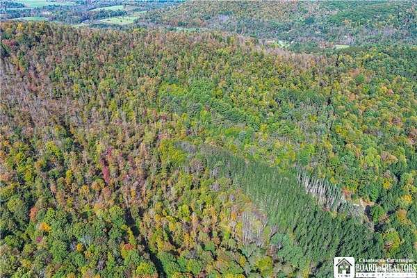 131 Acres of Recreational Land for Sale in Little Genesee, New York