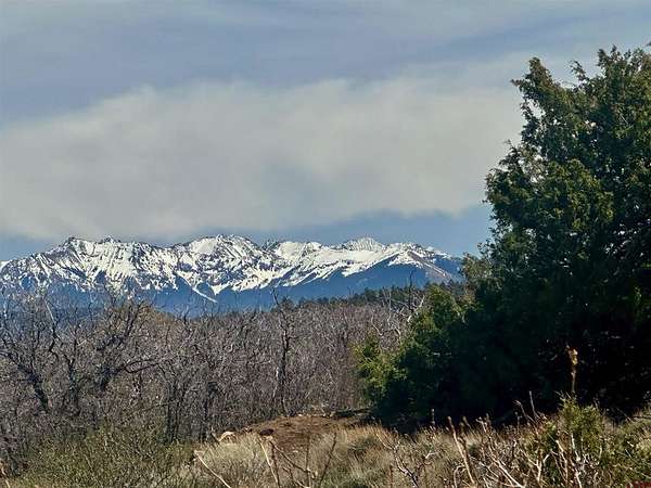 38.1 Acres of Recreational Land for Sale in Norwood, Colorado