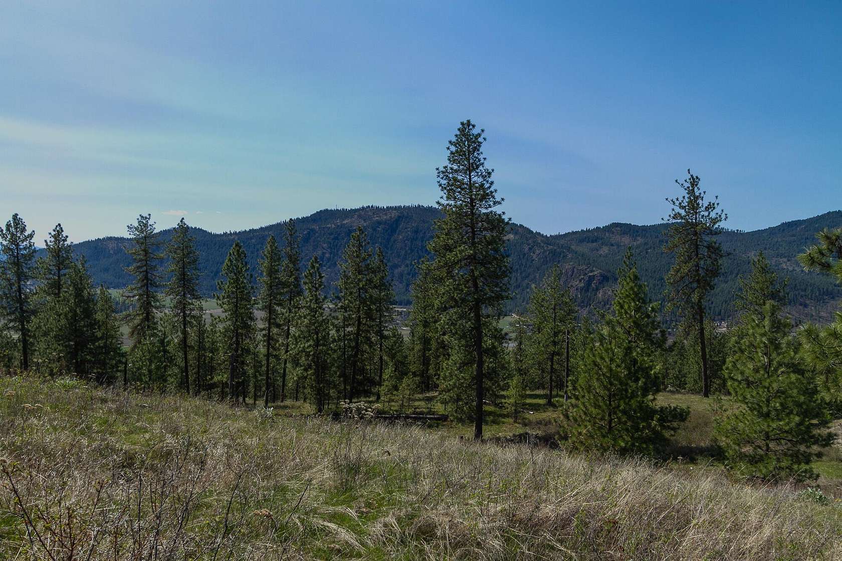 0.33 Acres of Residential Land for Sale in Chewelah, Washington
