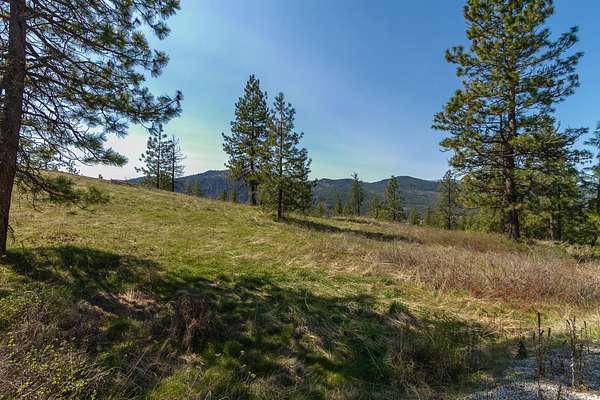 0.33 Acres of Residential Land for Sale in Chewelah, Washington