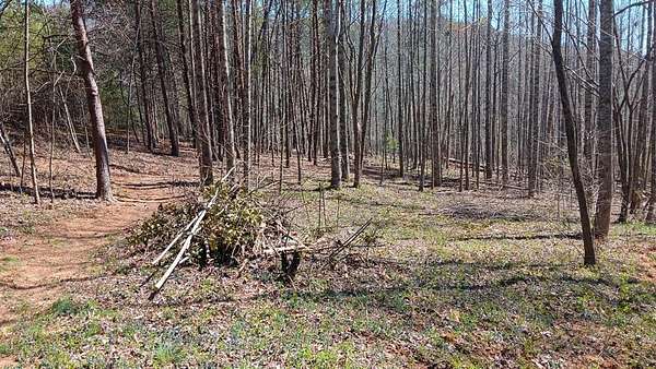 1 Acre of Land for Sale in Murphy, North Carolina