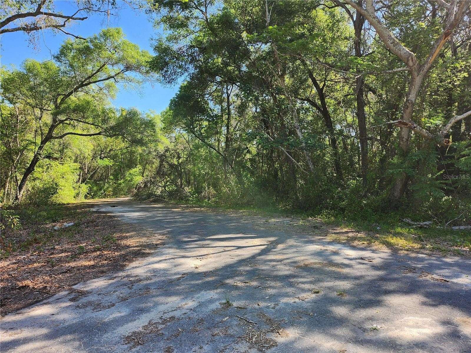 0.38 Acres of Residential Land for Sale in Ocklawaha, Florida