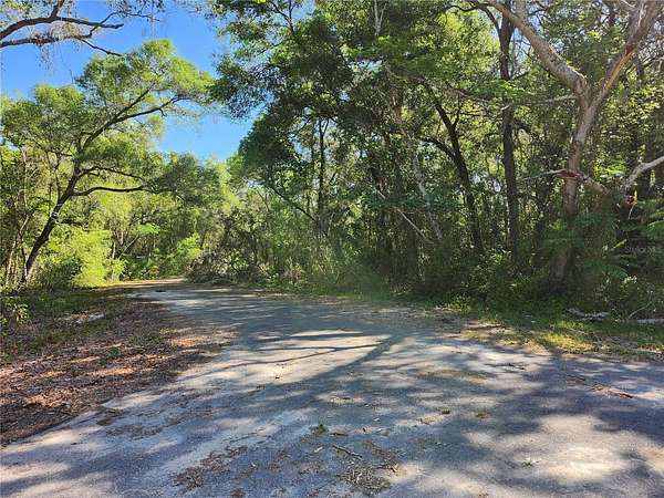 0.38 Acres of Residential Land for Sale in Ocklawaha, Florida