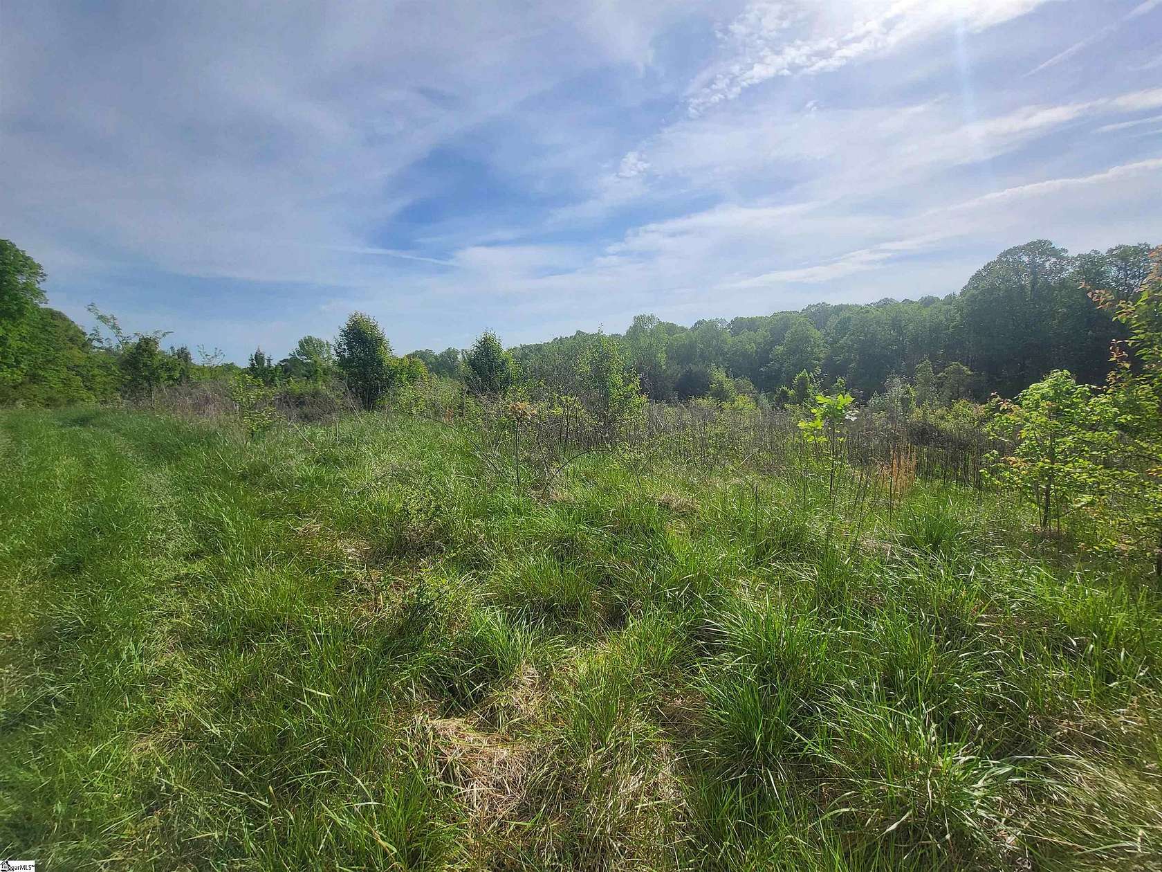 25 Acres of Land for Sale in Greer, South Carolina