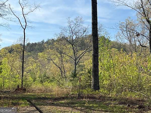 223 Acres of Recreational Land & Farm for Sale in Ellijay, Georgia