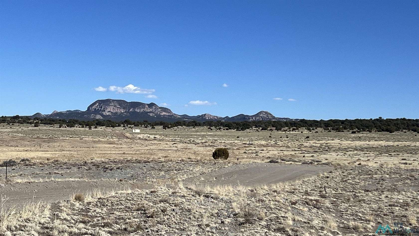 11 Acres of Recreational & Residential Land for Sale in Pie Town, New Mexico