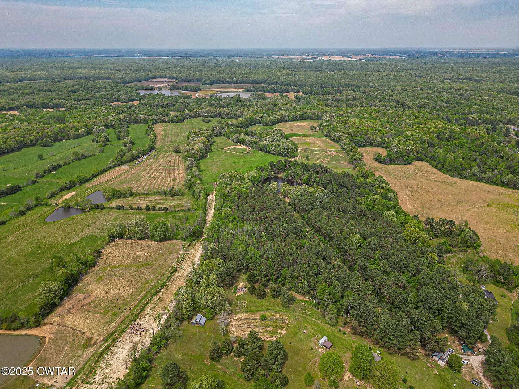 46.5 Acres of Land for Sale in Whiteville, Tennessee