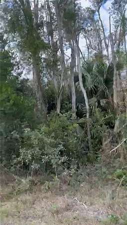 0.32 Acres of Residential Land for Sale in Lehigh Acres, Florida