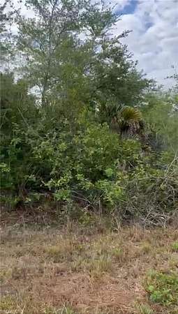 0.34 Acres of Residential Land for Sale in Lehigh Acres, Florida