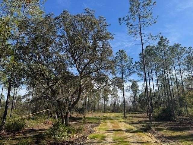 36 Acres of Recreational Land for Sale in Fort McCoy, Florida