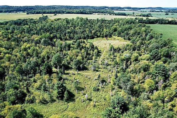 80 Acres of Recreational Land & Farm for Sale in Osseo, Wisconsin