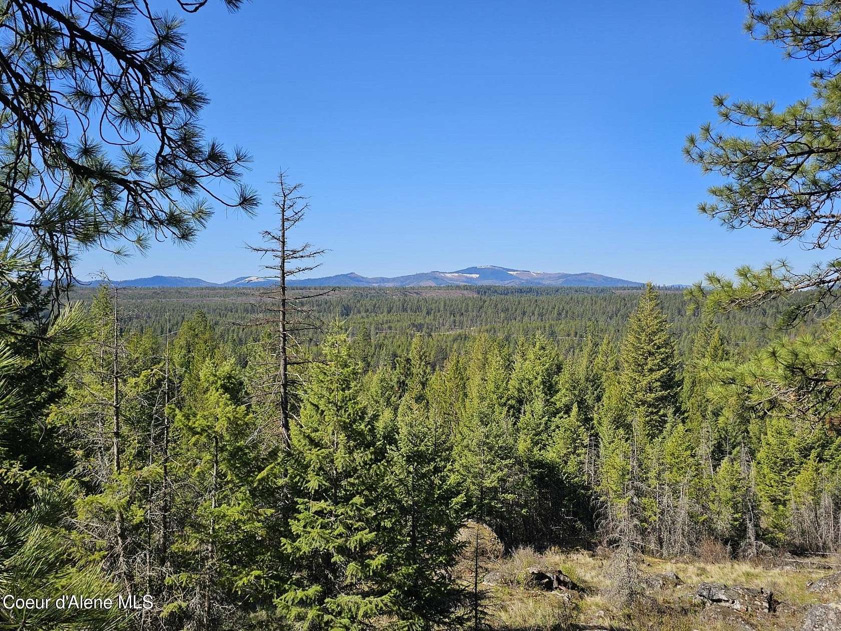 5 Acres of Residential Land for Sale in Athol, Idaho