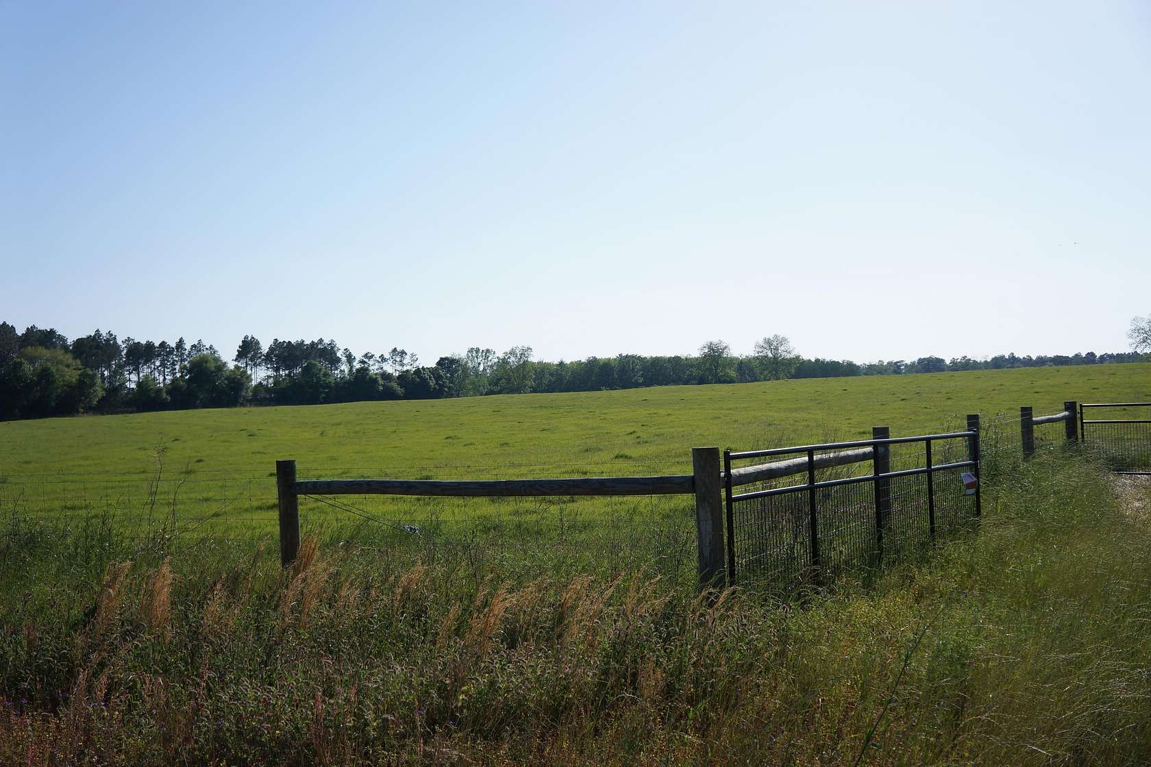 28.6 Acres of Agricultural Land for Sale in Laurel Hill, Florida