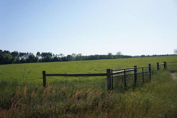 28.6 Acres of Agricultural Land for Sale in Laurel Hill, Florida